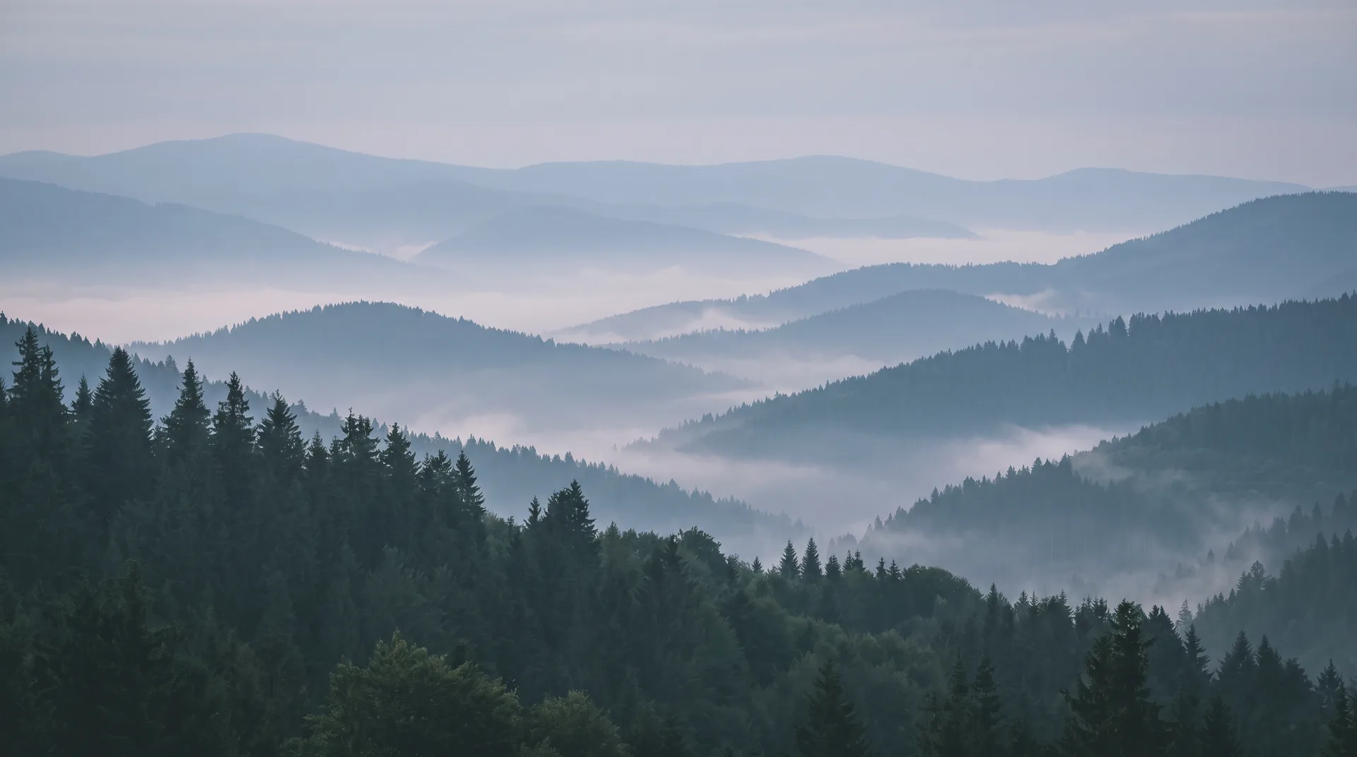 Layered mountain ridges receding into blue-grey haze above spruce forest at dawn.